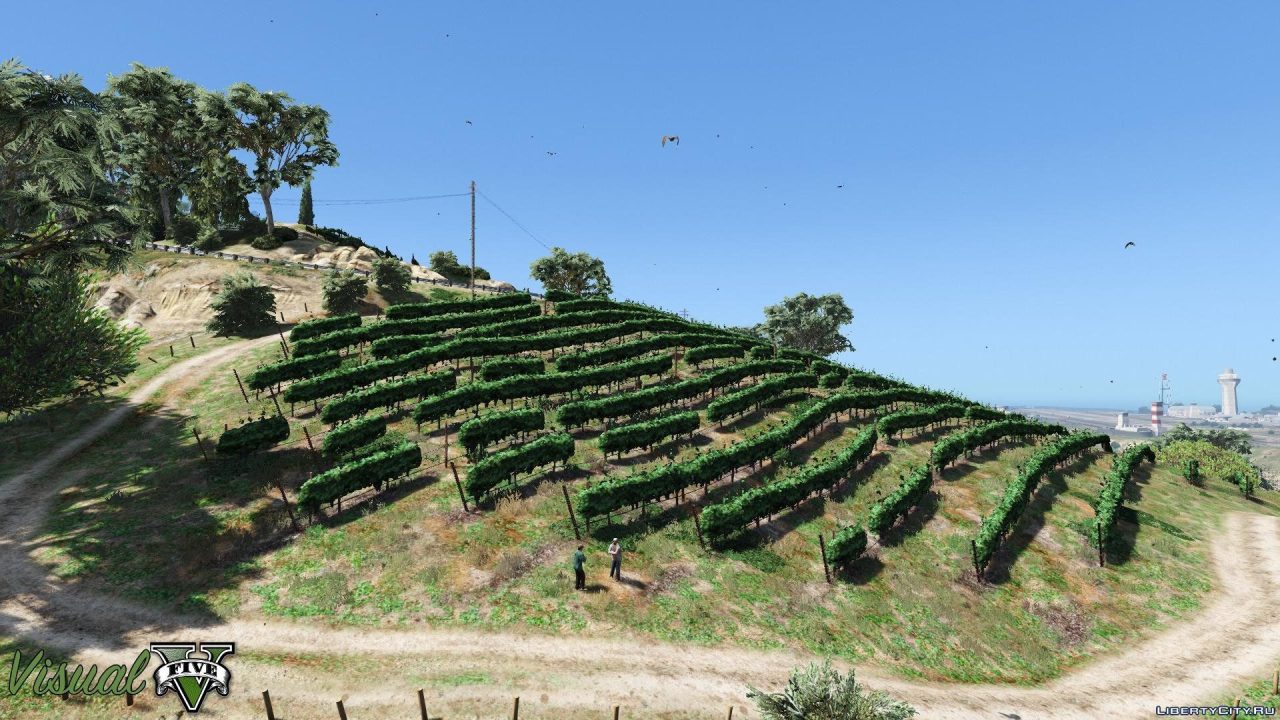 图片[5]-[GTA5MOD]视觉V 1.0.390-单机屋-GTA5MOD下载站-好玩的单机游戏网