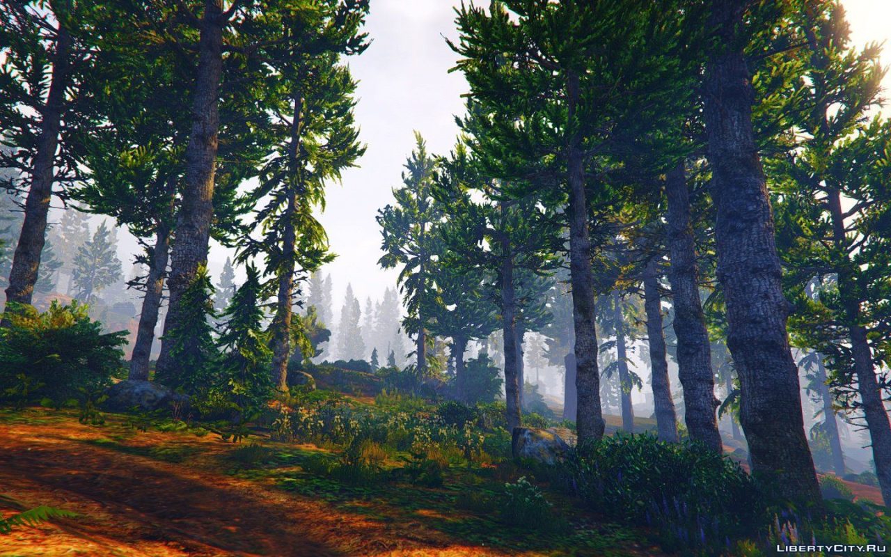 图片[2]-[GTA5MOD]自然图形 GTA V 20.4.8-单机屋-GTA5MOD下载站-好玩的单机游戏网