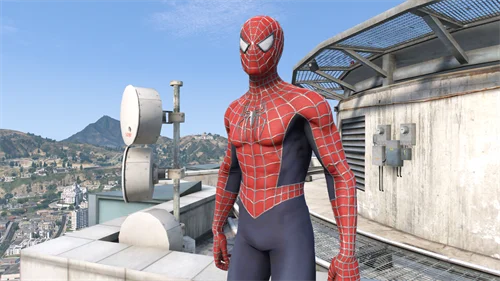 图片[4]-[洛圣都5]精选100款蜘蛛侠整合包-单机屋-GTA5MOD下载站-好玩的单机游戏网