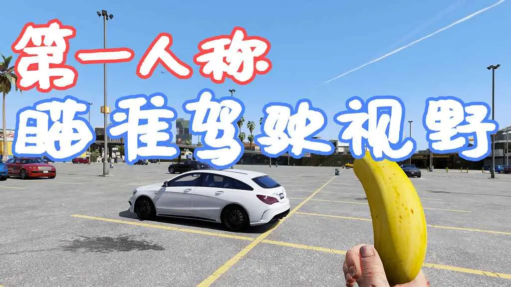 GTA5 第一人称 瞄准驾驶 视野 FoV MOD 覆盖版【5.16MB】-单机屋-GTA5MOD下载站-好玩的单机游戏网