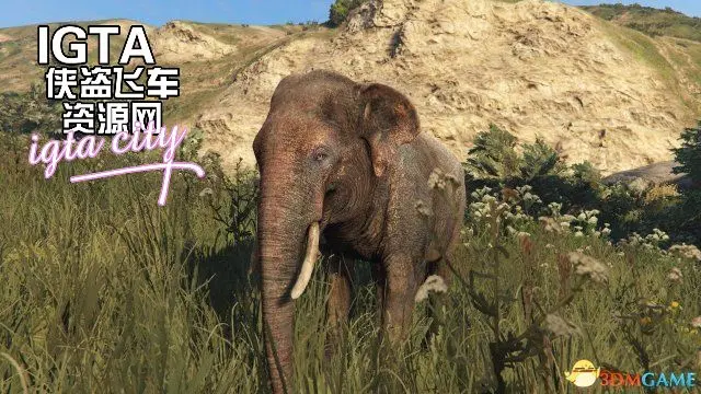 [GTA5]孤岛危机中的大象MOD-单机屋-GTA5MOD下载站-好玩的单机游戏网
